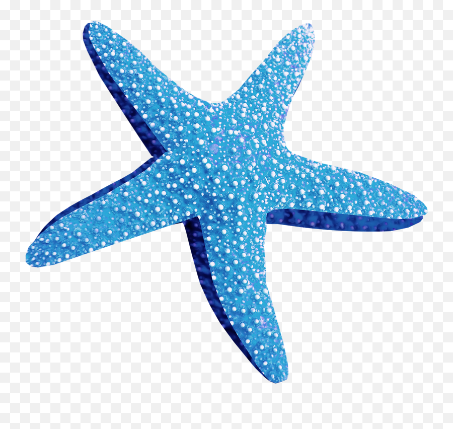 Blue Starfish Png - Estrella De Mar Png Starfish Png,Estrella Png