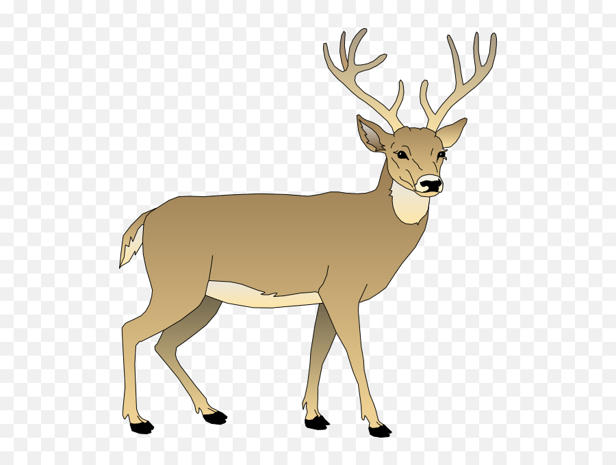 Baby Deer Clipart The Cliparts - White Tailed Deer Clipart Png,Baby Deer Png