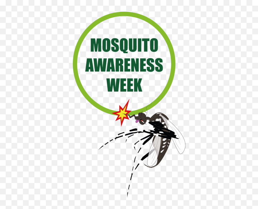 Mosquito Awareness Week 2018 - Slogan On Vector Borne Disease Png,Mosquito Png