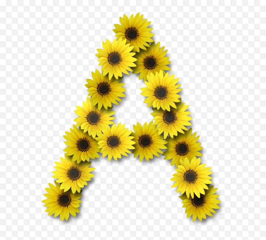 Free Alphabets Directory Page 1 - Sunflower Letter Png,Girasol Png