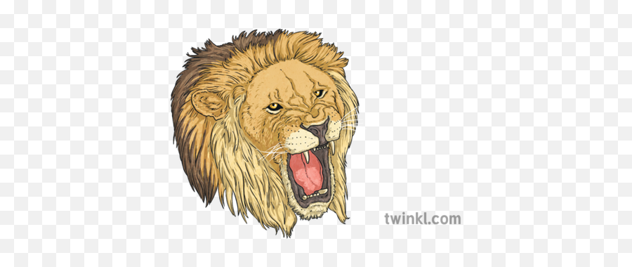 Of The Animals Y4 Dance Twinkl Move Pe Ks2 - Roar Png,Lion Roar Png