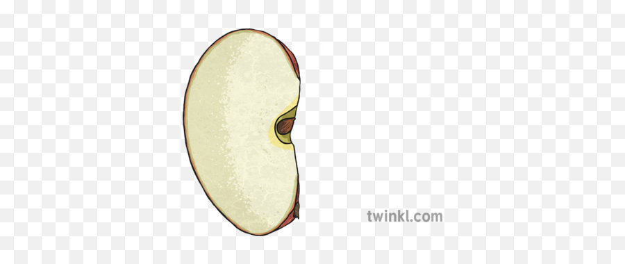 Quarter Apple Illustration - Twinkl Quarter Apple Png,Cartoon Apple Png