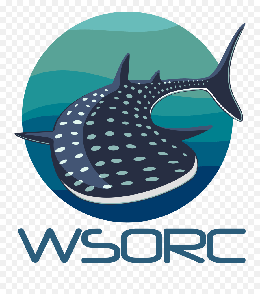 Wildbook For Whale Sharks - Whale Shark Vector Png,Whale Shark Png