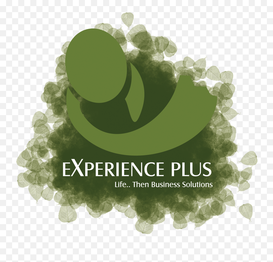 Fileexperience Plus Iconpng - Wikimedia Commons Event,Experience Icon Png