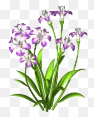 Purple Flower Png Download Free 6209 - Free Icons And Png Plant With Flower Png,Green Flower Png