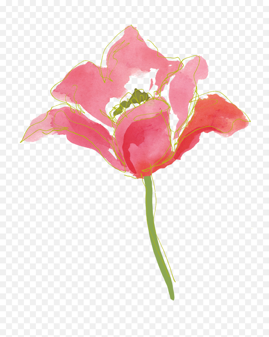 Watercolor Flowers Png Transparent 5 - Paint Flower Transparent,Painted Flowers Png