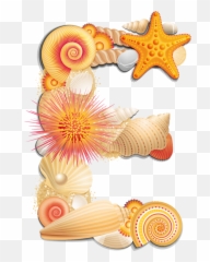 Letter Clipart Seashell Transparent Free - Seashell Letter E Clipart Png,Seashell Clipart Png