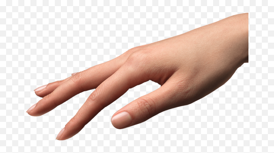 Download Hand Reaching In Png Image - Human Transparent Left Hand,Hand Reaching Png