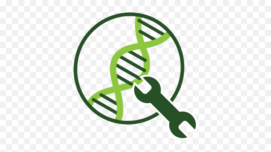 8 Tools And Techniques Of Gene Manipulation - Genetic Tools Png,Genetics Icon
