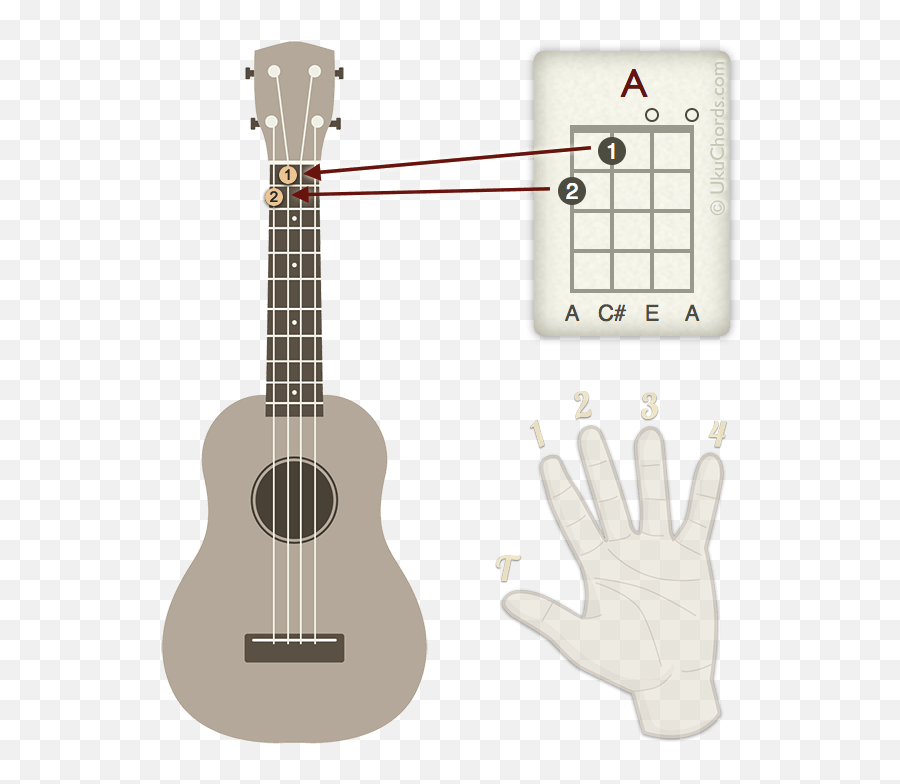 How To Read Ukulele Chord Diagrams Eye - Opener U2022 Ukuguides Read A Ukulele Chord Chart Png,Ukulele Icon