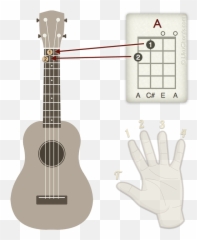 How To Read Ukulele Chord Diagrams Eye - opener u2022 UkuGuides Read A Ukulele Chord Chart png