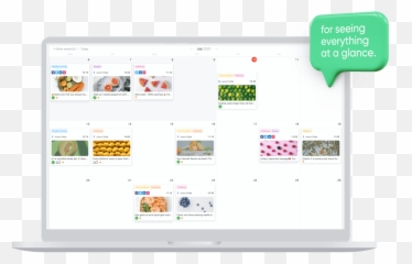 Planable Best Free Social Media Tool For Approval And - Vertical png