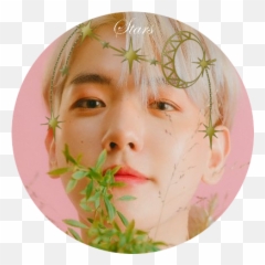 Mamori U0027u0027 Baek - Thread for all Baekhyun Album Japones png