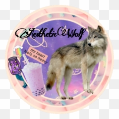 Wolf - png