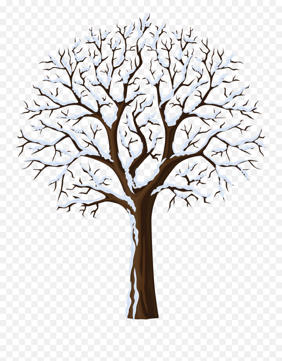 January Clipart Snowtree - Plants In Different Seasons Png,Snowy Trees Png