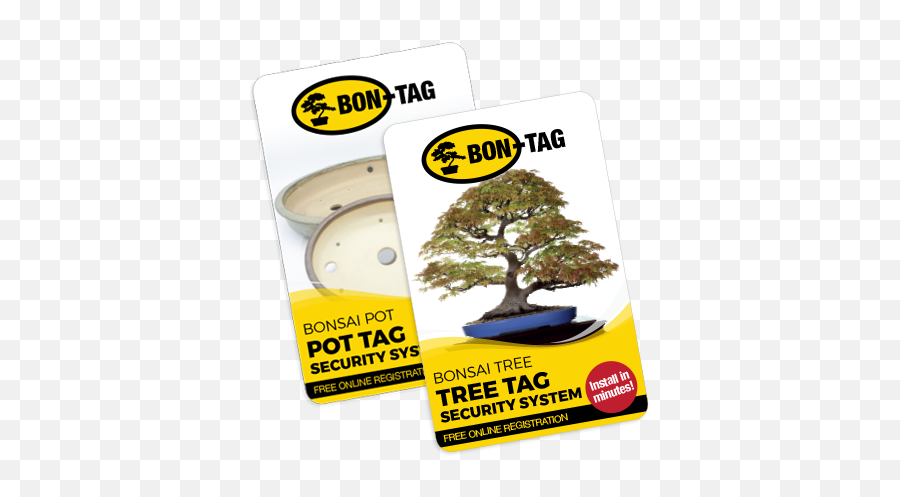 Bon - Tag Tree Png,Bonsai Tree Png