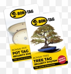 Bon - Tag Tree Png,Bonsai Tree Png