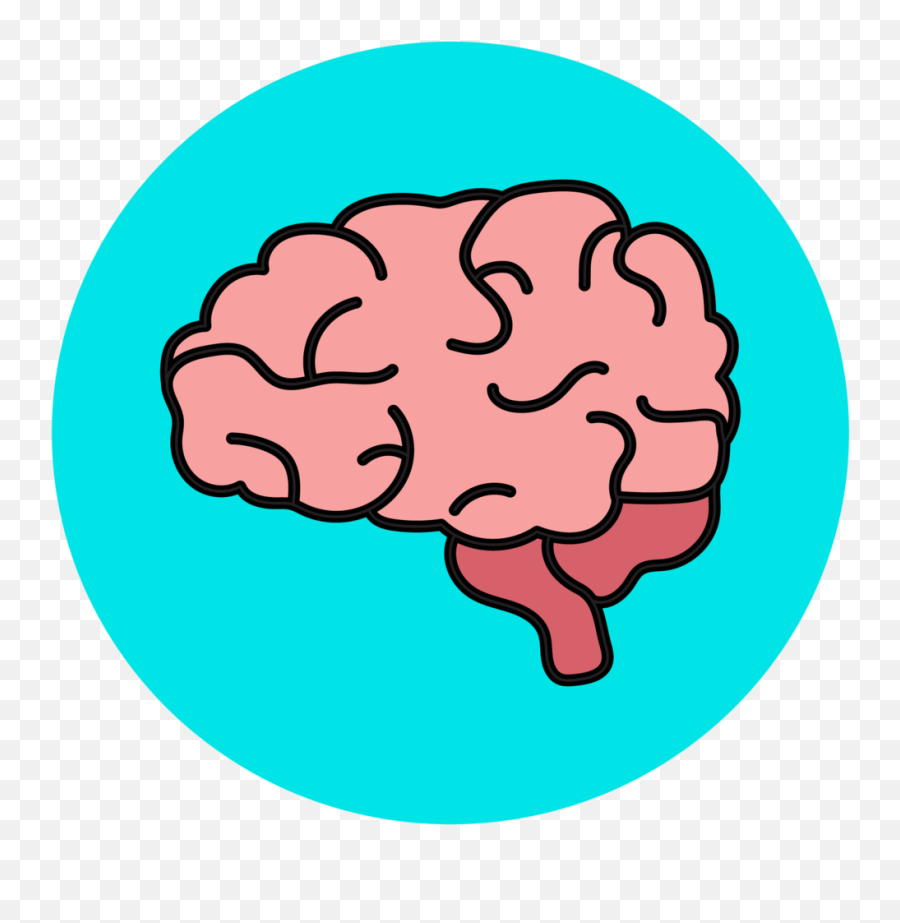 Human Brain Clipart - Brain Clipart Transparent Background Png,Human Brain Png
