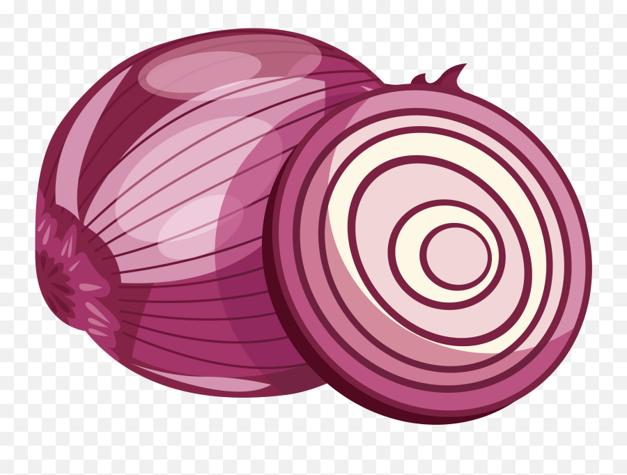 Onion Clipart Old Picture 1781952 - Transparent Onion Clipart Png,Onion Png