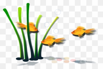 Goldfish Fish Aquamarine - Free Vector Graphic On Pixabay Png,Aquamarine Png