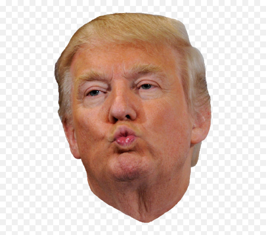 Donald Trump Head Kiss Png - Donald Trump Face,Face Png