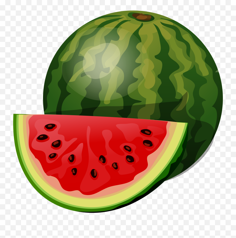 Fruiting Clipart Watermelon - Clipart Of Watermelon Png Clipart Of Watermelon,Watermelon Png Clipart