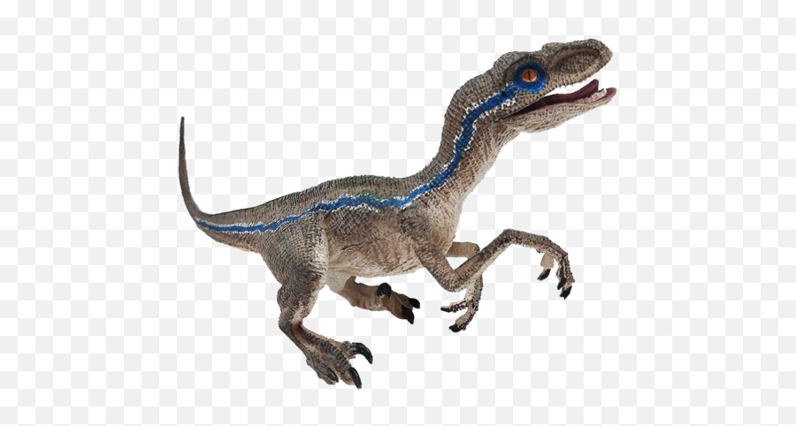 Jurassic Park Playfield Blue Velociraptor - Jurassic World Dino Toys Png,Velociraptor Png