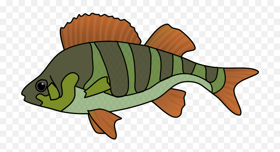 Fish Clip Art - Fish Drawing Png,Fish Png Transparent