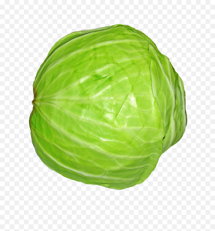 Transparent Cabbage Hd - Single Vegetables Images Hd Png,Cabbage Transparent