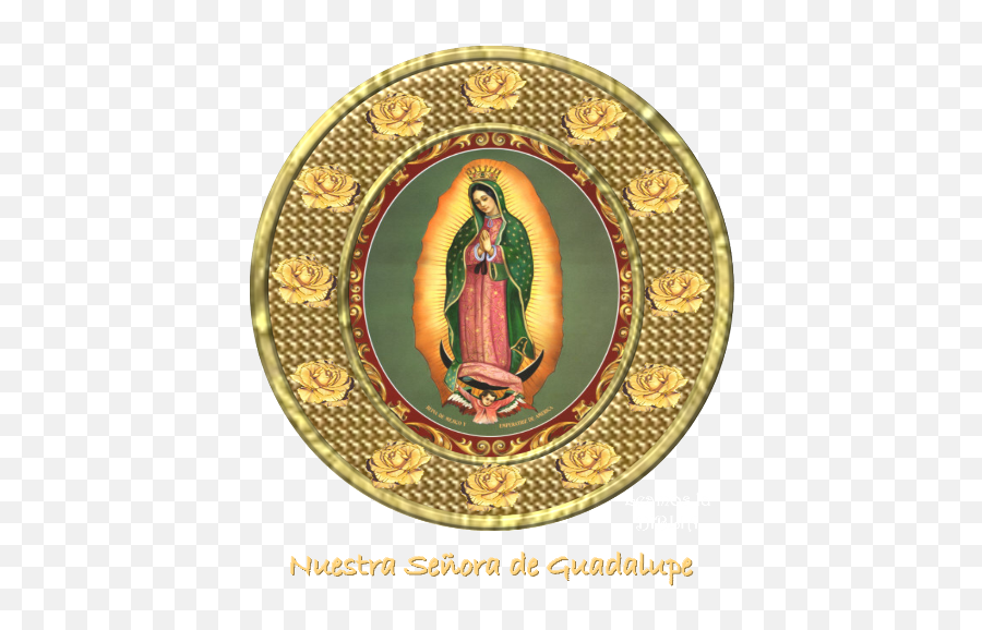 Leamos La Biblia Nuestra Señora De Guadalupe Patrona - Our Lady Of Guadalupe Png,Virgen De Guadalupe Png