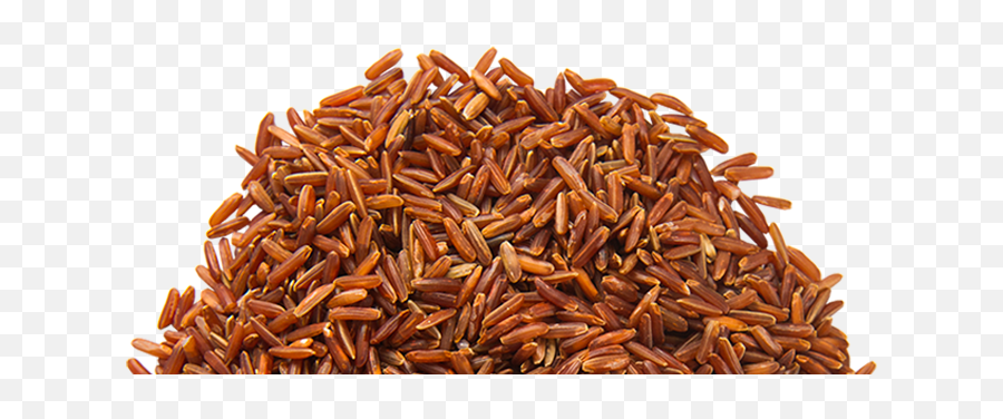 Library Png Transparent Images Pluspng - Brown Rice Red Rice Png,Rice Transparent
