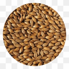 Crisp Malt Naked Oat - Hoppy Days Brewing Supplies Malt Png,Oats Png