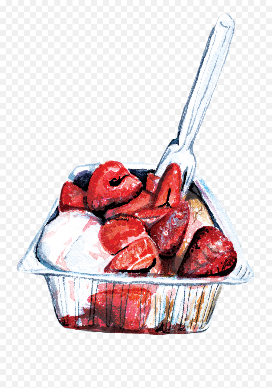 Watercolor U2014 Katie Napoli Png Strawberry Shortcake