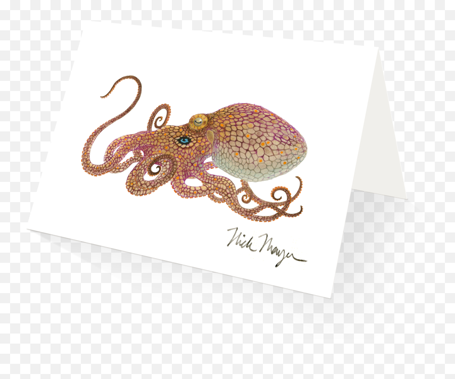 Httpswwwnickmayerartcom Daily Httpswwwnickmayerart - Octopus Png,Octopus Png