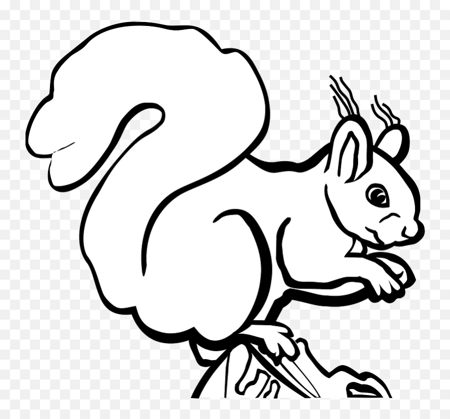Squirrel Clipart Free Download Transparent Png Creazilla - Squirrel Cartoon Images Black,Squirrel Transparent