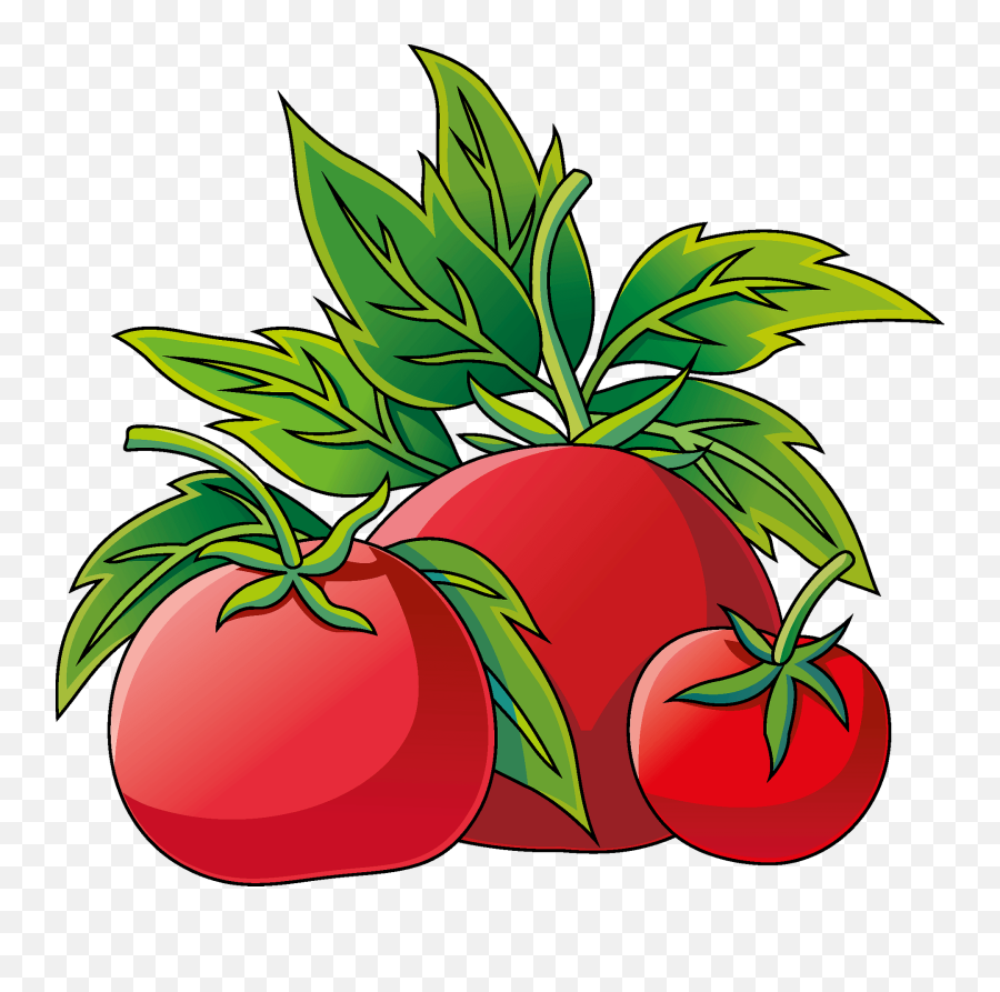 Clipart - Apple Png,Tomato Transparent