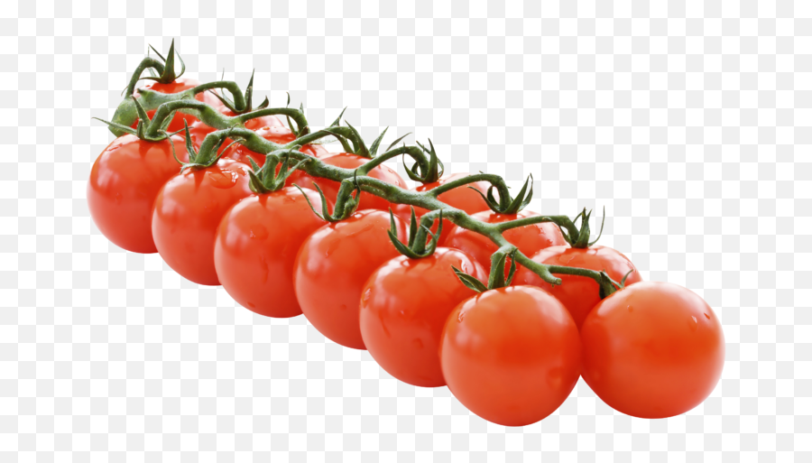 Cherry Tomatoes - Tomato On Vine Png,Tomato Plant Png