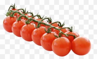Cherry Tomatoes - On Vine Png