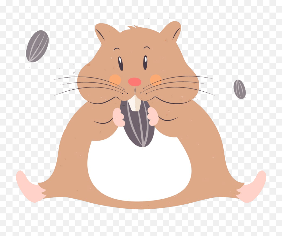 Hamster Care - Big Png,Hamster Png