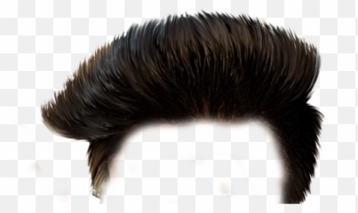Free transparent hairstyle png images, page 1 