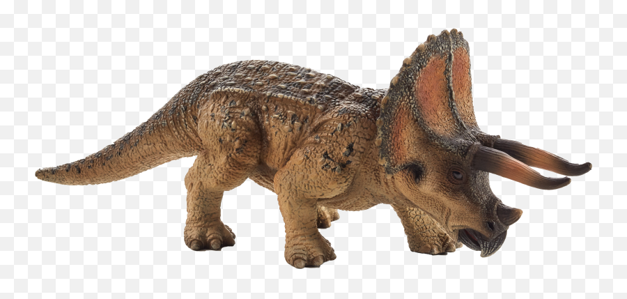 Download Mojo Triceratops Png Image