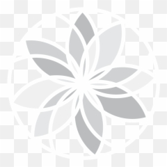 Mary Anderson U2022 Graphic Designer Journalist - Shaklee Decorative Png,Shaklee Logo