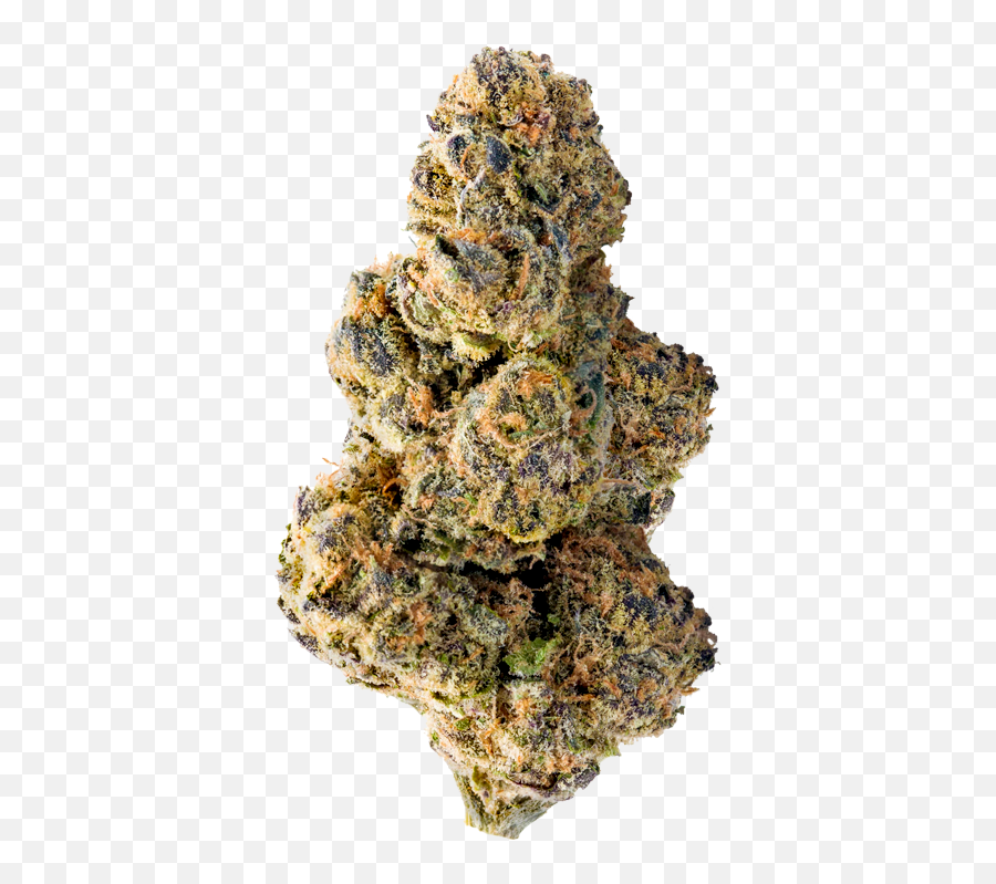Colossal Purps - Colossal Purps Strain Png,Weed Nugget Png