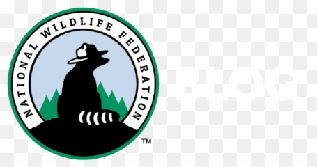 Not Alvin And The Chipmunks 10 Facts You May Know About - National Wildlife Federation Action Fund Png,Alvin And The Chipmunks Logo