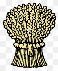 Wheat Bunch Grains - Free Vector Graphic On Pixabay Wheat Clip Art Png,Grains Png