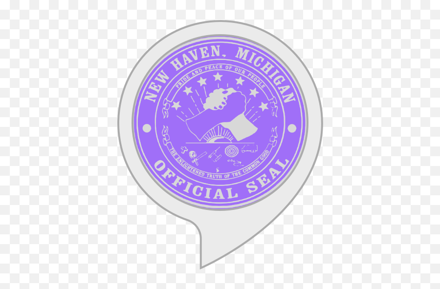 Welcome To Village Of New Haven Mi - Erp System Diagram Png,Amvets Logo