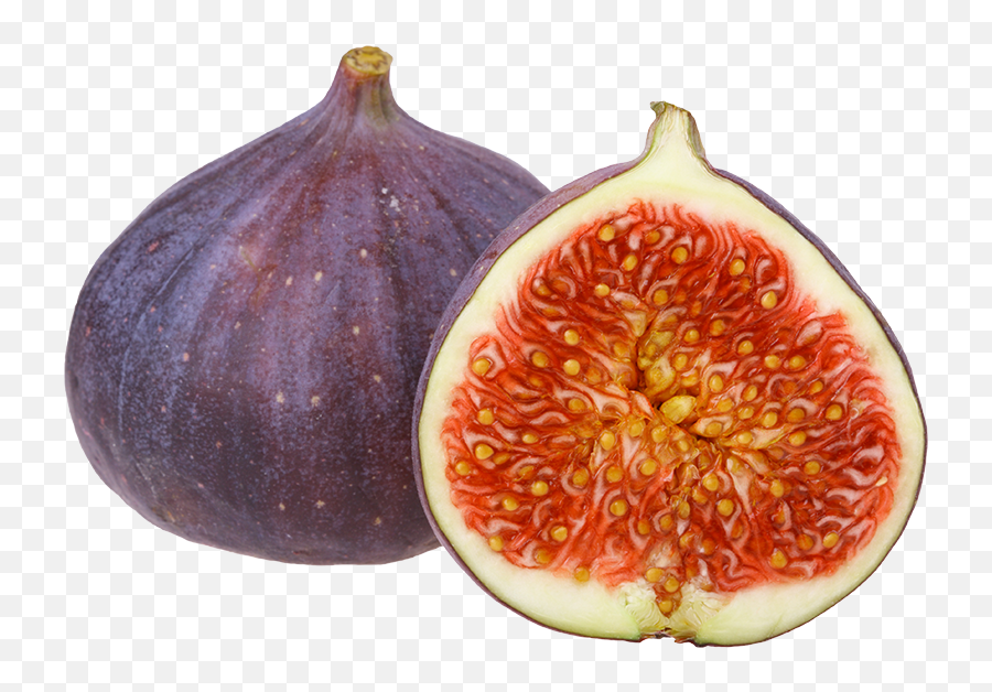 Common Fig Png Image With No Background - Fig Transparent Background,Fig Png