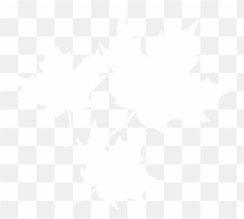 Maple Leaf - Lovely png