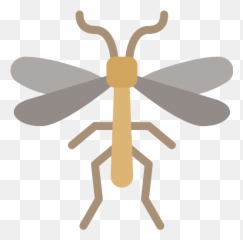 Mosquito Vector Svg Icon 6 - PNG Repo Free Icons Parasitism