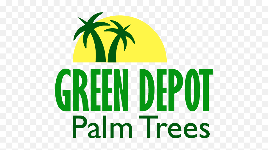 Green Depot Palm Trees U003e Contactus - Clip Art Png,Palm Tree Logo